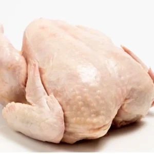 Chicken Meat