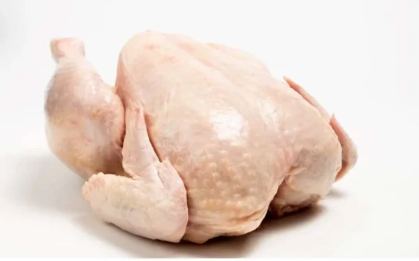 Chicken Meat